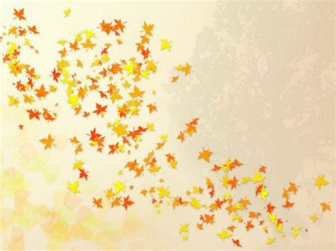 Simple Fall Wallpapers Top Free Simple Fall Backgrounds Wallpaperaccess