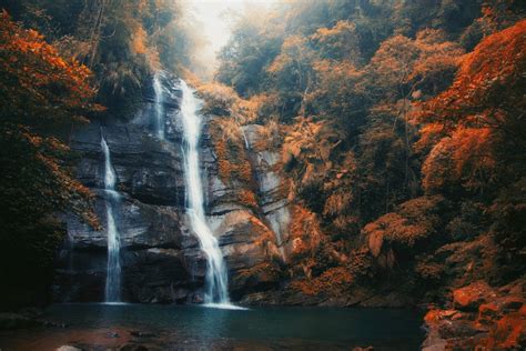 Waterfalls In Autumn Forest Papel De Parede Hd Plano De Fundo