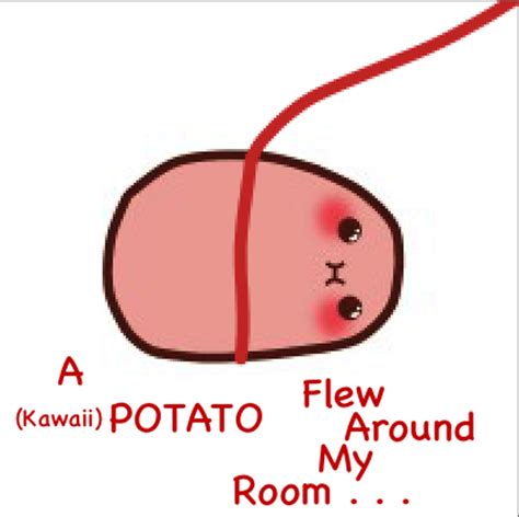 By higgyy, posted 4 years ago digital artist. A (Kawaii) Potato Flew Around My Room . . . by ...