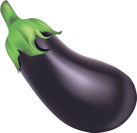Download Brinjal Eggplant Free Transparent Image Hq Hq Png Image