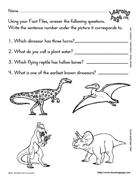 Dinosaur Facts 4 Worksheet For 3rd 4th Grade Lesson Planet