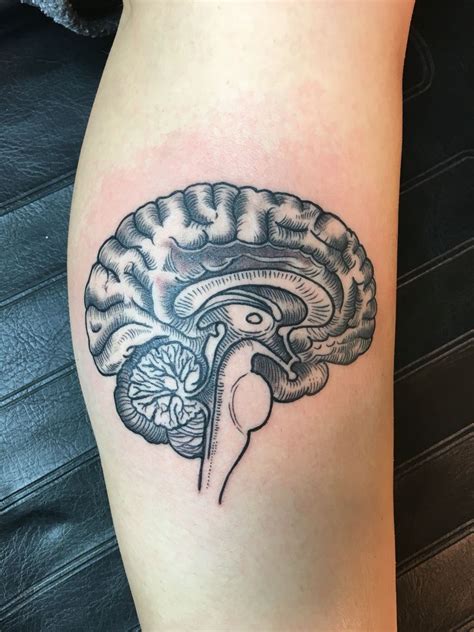 Anatomical Brain Tattoo Done At Short North Tattoo In Columbus Oh