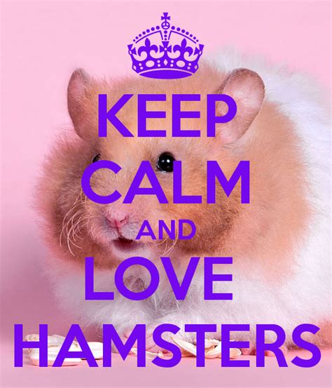 Quotes About Hamsters 37 Quotes
