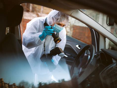 what does a forensic scientist do gcu blog