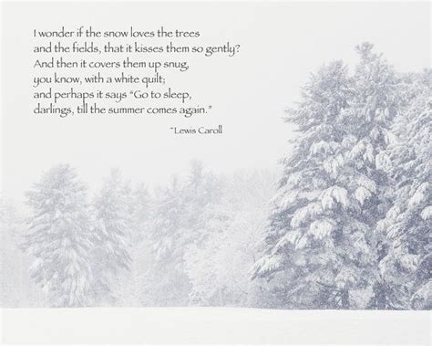 Lewis Caroll Quote Winter Snow New England Winter Winter Trees