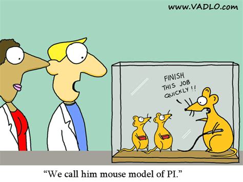 What Transgenic Mouse Not To Make Principal Investigator Best