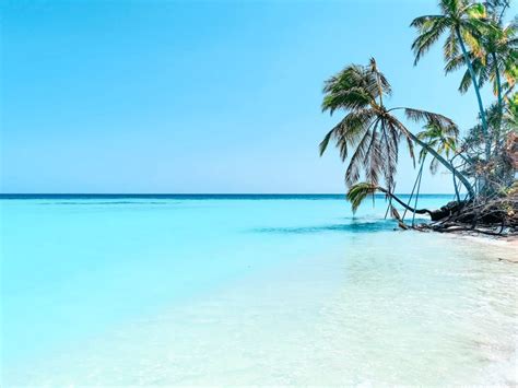 Angaga hat eine große lagune, ideal für wassersport. "Strand" Angaga Island Resort (Vilamendhoo) • HolidayCheck ...