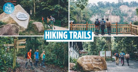 7 Hiking Trails Around Bukit Timah Nature Reserve
