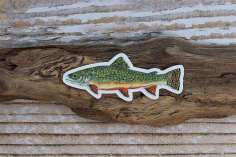 Brook Trout Sticker Fish Sticker Fish Decal Trout Decal Etsy