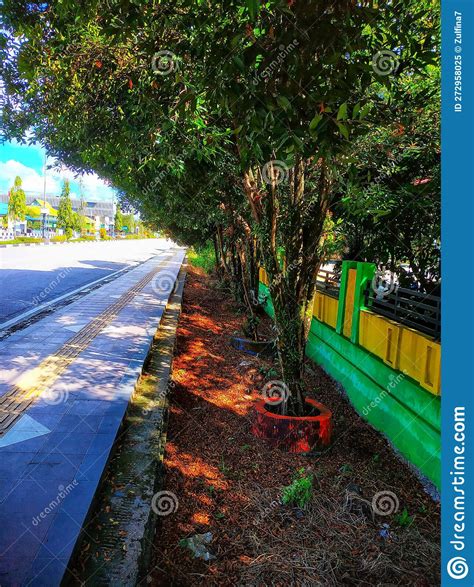 Forests Within Cities Or Urban Green Areas Stock Image Image Of Grass