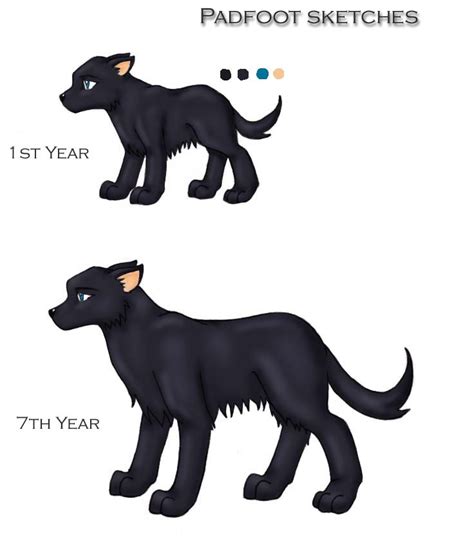 Sirius Black Dogs By Blue Fire On Deviantart
