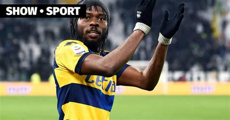 Gervinho Could Move To Trabzonspor He Is Given A 2 Year Contract For 4 Million Euros — Parma