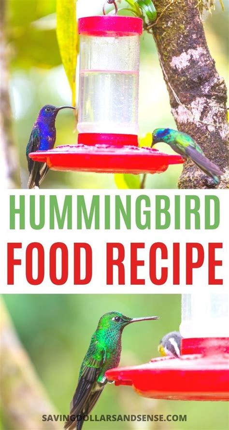 Take the water off the heat and add the sugar. 52 hummingbird food Hummingbird Food in 2020 | Hummingbird ...