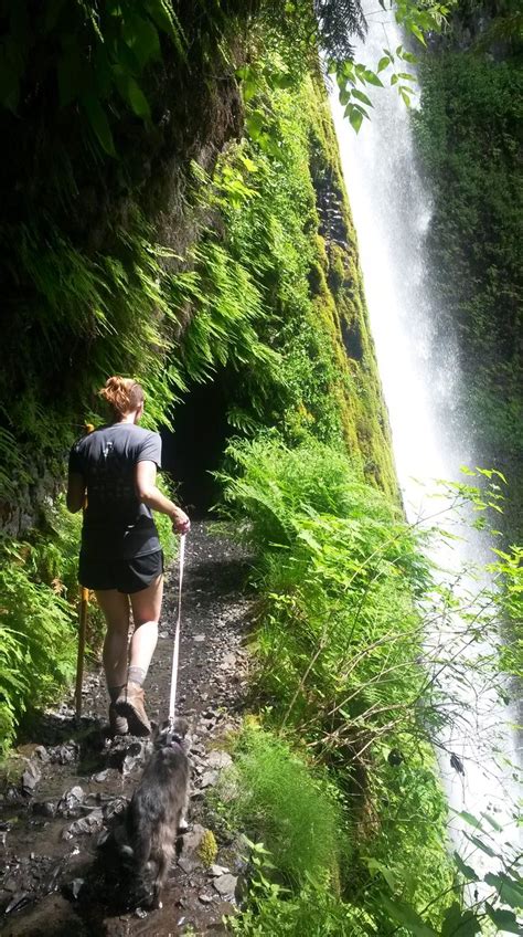 Explore The Breathtaking Eagle Creek Trail In Oregon