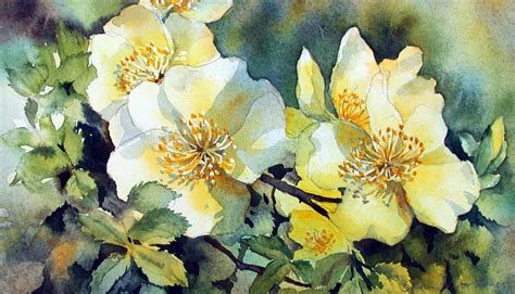 Art Ann Mortimer Artist Watercolor Projects Watercolor Paintings