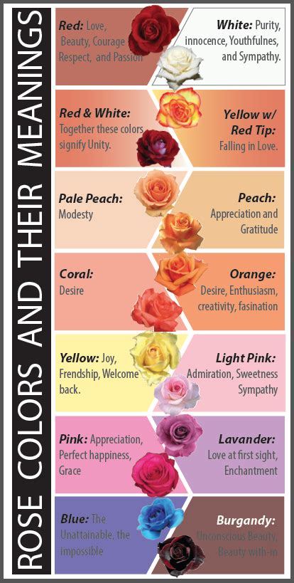 Rose Color Meanings Meaning Of Rose Colors Meaning Of Flowers Blue