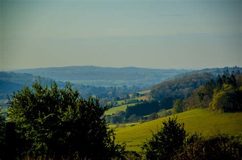 The Chilterns The Chilterns Fox