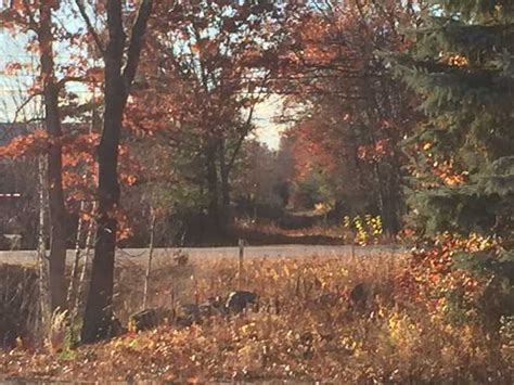 The Granite State Rail Trail Southern Route