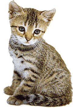 Actually it is just that life does inspire artists, and in turn their works of art do inspire life. Cat - Life Cycles of Plants & Animals