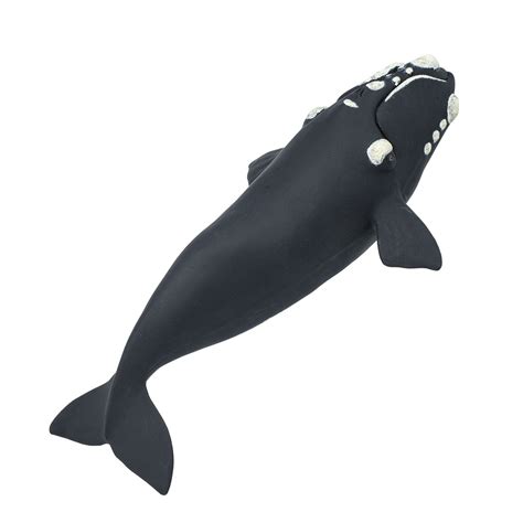 Right Whale Toy Sea Life Safari Ltd®