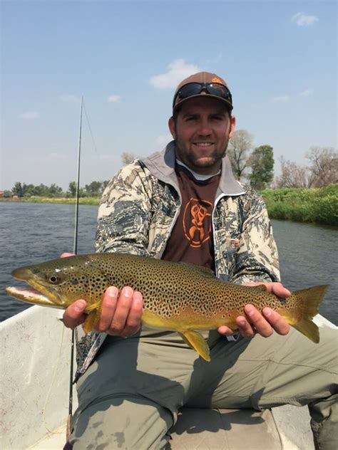 Brown2 Wolf Creek Angler