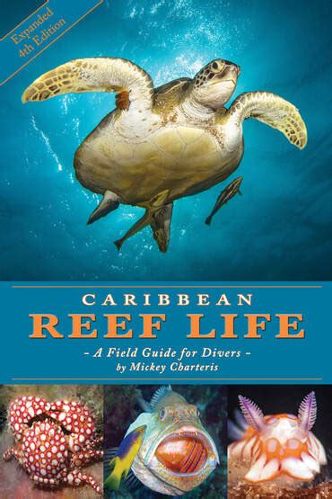 Caribbean Reef Life Caribbean Reef Life A Field Guide For