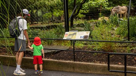 Smithsonians National Zoo Public Opening Smithsonians National Zoo