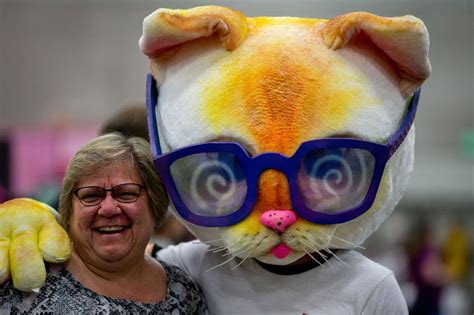Pop Cats A Portland Feline Culture Show Is Underway At Oregon
