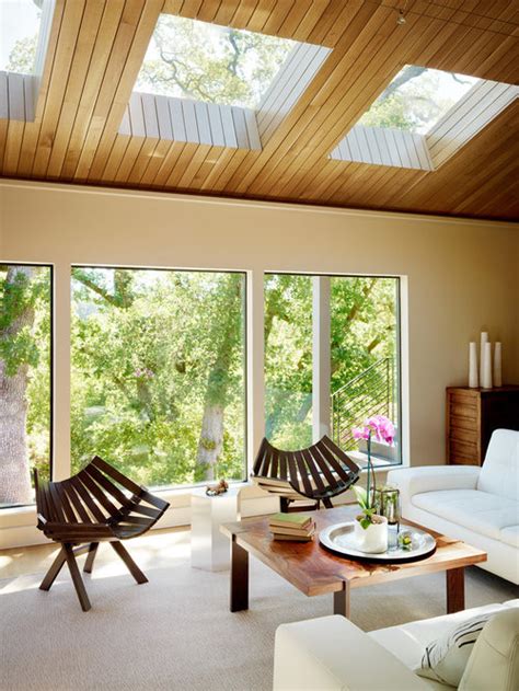 Vaulted ceilings are a desirable architectural feature and can allow for some interesting lighting choices in your home. Skylight Ceiling Ideas, Pictures, Remodel and Decor