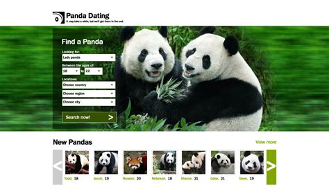 Panda Bears In Singapore Smiling Rphotoshopbattles