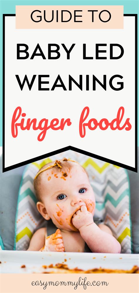 The foods should generally be soft enough to squish between your fingers with the exception of the large pieces of meat. Baby Led Weaning Finger Foods On The Go - Easy Mommy Life ...
