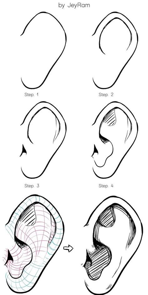Learn How To Draw Ears Using This Step By Step Process Made For