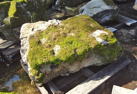 Moss Rock In Large Medium And Small Sizes Both With And Without Moss