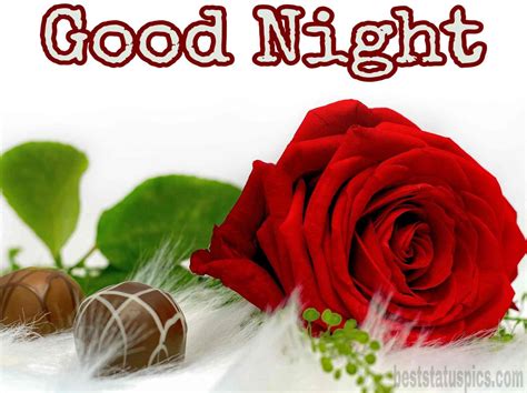 Good Night Images With Red Rose Flowers Best Flower Site