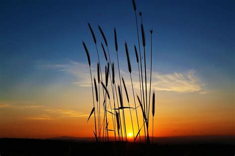 #nature #sunset | Pixabay image free photos, Image, Sunset nature