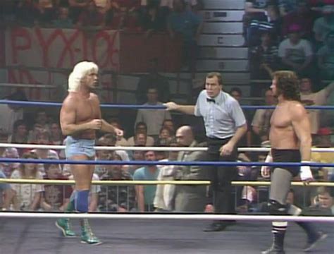 The Great Wrestling Champions Ric Flair 1989 1990 Enuffa