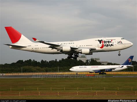 Ja8919 Jal Japan Airlines Boeing 747 400 At Tokyo Narita Intl