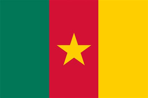 Флаг Камеруна Фото Telegraph