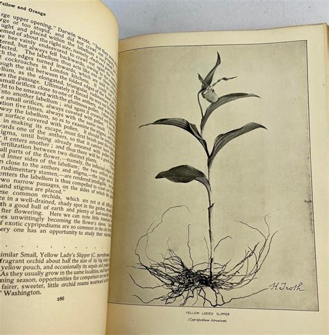Lot 1907 Natures Garden An Aid To Knowledge Of Our Wild Flowers And