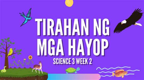 Grade 3 Science Tirahan Ng Mga Hayop Quarter 2 Week 2 Youtube