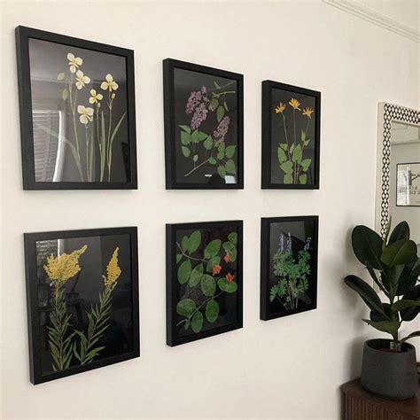 Set Of 6 Black Botanical Prints Pressed Flowers With Black Etsy