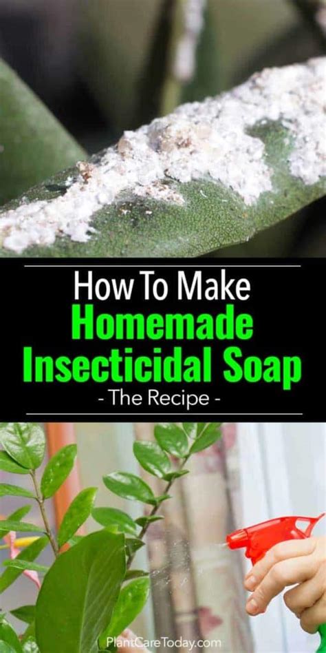 How To Make Homemade Insecticidal Soap Recipe