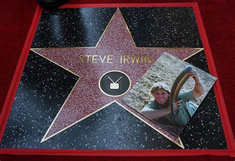 Like and share our website to support us. Steve Irwin's Walk of Fame Star Ceremony Pictures ...