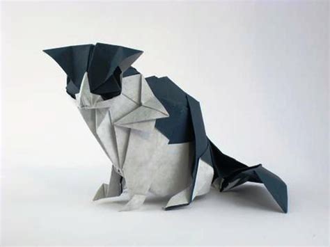 Origami Cats Avec Images Étoile Origami Papier Origami Origami