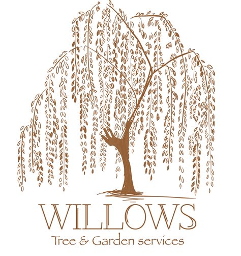 Weeping Willow Tattoo Artist Tree Drawing Tree Png Download 1574