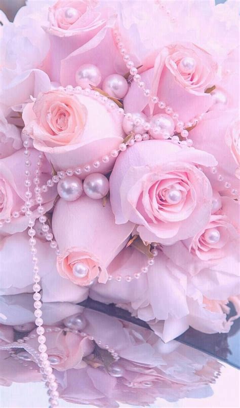 Pearls Of Great Price Flora Flowers Beautiful Rose Flowers Pastel