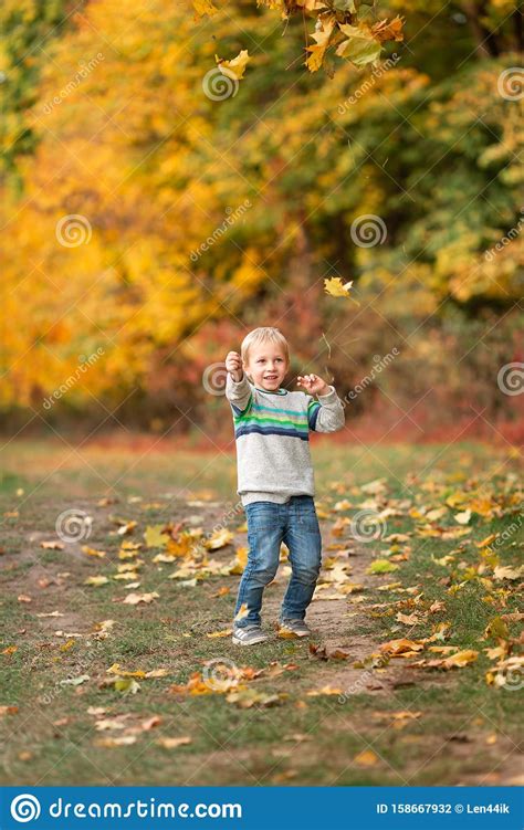 Happy Little Boy With Autumn Leaves In The Park Stock Photo Image Of