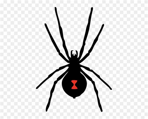 Black Widow Spider Embroidery Free Transparent Png Clipart Images
