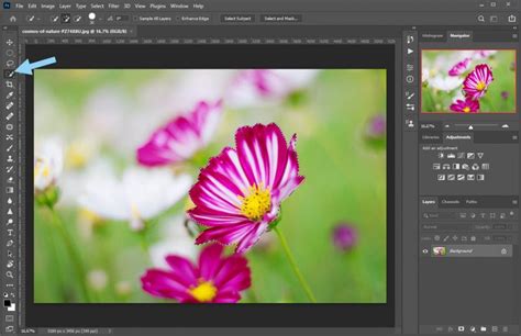 How To Use Quick Mask Mode In Photoshop Photography Raw Com