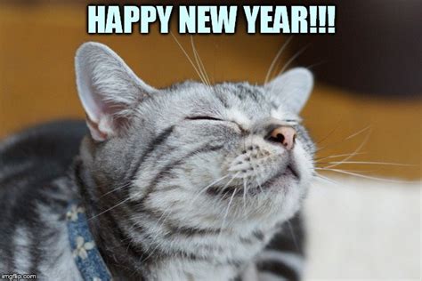 Happy New Year Cat Meme Photos